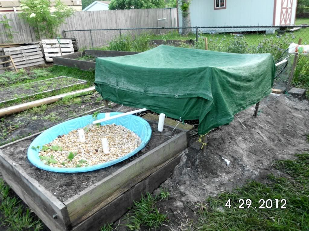 Backyard Fish Farming Backyard Design Ideas